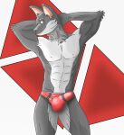  abs anthro biped bulge canid canine canis clothed clothing fur grey_body grey_fur hi_res looking_at_viewer male mammal muscular muscular_anthro muscular_male simple_background solo underwear white_body white_fur wolf xzenonart 