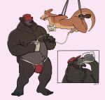  2023 ankles_tied anthro anthro_on_anthro areola ball_gag balls barbell_piercing bdsm bear beard beer_mug belly biped bodily_fluids bound brown_body brown_fur bulge chastity_cage chastity_device clothed clothed/nude clothed_male_nude_male clothing digital_media_(artwork) drinking drinking_urine duo english_text eyebrows eyes_closed facial_hair fur gag gagged genital_fluids genitals hat headgear headwear hi_res holding_object humanoid_genitalia humanoid_penis jockstrap kangaroo liam_(runneroo) macropod male male/male mammal marsupial milo_(runneroo) mug nipple_barbell nipple_piercing nipples nude overweight overweight_anthro overweight_male peeing penis piercing smile suspended_in_midair tan_body tan_fur text underwear urine urine_in_cup urine_in_mouth valbits watersports wrists_tied 
