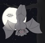  2023 albino alina_(hexteknik) anthro bat bat_wings big_breasts branch breasts cheek_tuft curvy_figure cute_fangs detailed_background dialogue digital_media_(artwork) english_text eyebrows eyelashes facial_tuft featureless_crotch felid female full_moon fur hands_behind_head hanging_breasts hanging_from_branch head_tuft hexteknik hi_res hourglass_figure hybrid inner_ear_fluff looking_at_viewer mammal membrane_(anatomy) membranous_wings monotone_body monotone_fur moon motion_lines navel night nipples nude open_mouth outside pink_nipples pink_nose pink_tongue plant red_eyes short_tail sky smile solo spread_wings star starry_sky tail talking_to_viewer text thigh_gap tongue translucent translucent_wings tree tuft upside_down vampire white_body white_fur wide_hips wings 