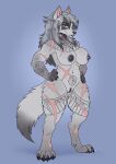  2023 4_toes 5_fingers abdominal_scar abs anthro arm_markings arm_scar arm_tattoo athletic athletic_anthro athletic_female belly belly_markings belly_tattoo black_nose blue_eyes breast_scar breasts canid canine canis claws feet female finger_claws fingers fur genitals grey_body grey_fur hair hi_res hindpaw humanoid_hands leg_markings leg_scar leg_tattoo mammal markings navel neck_scar nipples nude paws pussy scar scars_all_over silver_hair skye3337 solo standing tattoo toe_claws toes viking wolf 