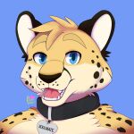  anthro cheetah collar felid feline headshot_portrait hi_res male mammal portrait ravenwolford solo 