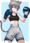  1girl absurdres ahoge animal_ears arc_(stkmn_8) bare_shoulders blue_background boxing_gloves breasts cat_ears cat_girl cat_tail closed_mouth commentary_request grey_hair grey_shorts hair_between_eyes highres original shorts small_breasts solo standing tail two-tone_background v-shaped_eyebrows white_background yellow_eyes 