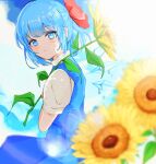  1girl blue_bow blue_dress blue_eyes blue_hair bow cirno closed_mouth detached_wings dress fairy flower hair_bow highres ice ice_wings looking_at_viewer shirt short_hair short_sleeves solo ssom_(galam79389) sunflower touhou white_shirt wings yellow_flower 