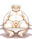  2023 anthro balls belly big_belly blush canid canine canis clothed clothing domestic_dog erection genitals kemono male mammal moobs namihira_kousuke navel nipples overweight overweight_male partially_clothed penis sitting solo takagi_kyou trouble_(series) underwear underwear_down 