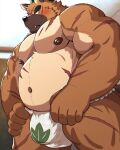  anthro asian_clothing belly blush brown_body brown_fur bulge canid canine canis clothing domestic_dog east_asian_clothing fundoshi fur japanese_clothing lifewonders male mammal musclegut navel nipples nullraihigi pecs scar solo tokyo_afterschool_summoners topknot underwear yasuyori 