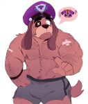  anthro bottomwear brawl_stars brown_body brown_fur brush canid canine canis clothing colonel_ruffs domestic_dog fur hat headgear headwear hi_res looking_at_viewer male mammal mrpandhew muscular muscular_male nipples pecs simple_background solo tuft underwear white_background 