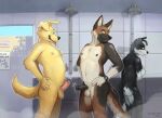  anthro balls bathing black_penis blush canid canine canis clock communal_shower comparing comparing_penis domestic_dog duo_focus english_text erection flugeldog genitals group hi_res humanoid_genitalia humanoid_penis looking_back male male/male mammal nipples nude penis pink_penis shower shower_room showering text tongue tongue_out trio watch water wet wristwatch 