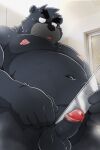  2023 anthro balls bear belly big_belly black_body black_nose censored erection genitals hi_res humanoid_genitalia humanoid_hands humanoid_penis kemono male mammal moobs navel nipples overweight overweight_male penis shibatanukiti solo 