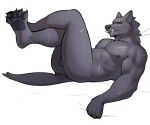  2023 anthro areola balls blaidd_(elden_ring) butt canid canine canis elden_ring fromsoftware fur genitals grey_body grey_fur hi_res jrjresq looking_at_viewer lying male mammal muscular muscular_anthro muscular_male nude on_back pawpads scar solo wolf 