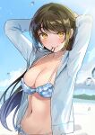  1girl arms_behind_head arms_up beach bikini blue_bikini blue_sky blush breasts brown_hair cleavage cloud collarbone commentary_request frilled_bikini frills hair_tie_in_mouth highres inkya_datta_ore_no_seishun_revenge:_tenshi_sugiru_ano_ko_to_ayumu_relife jacket light_blue_jacket long_hair long_sleeves looking_at_viewer medium_breasts mouth_hold navel open_clothes open_jacket outdoors plaid plaid_bikini plaid_swimsuit shijouin_haruka sky smile solo standing stomach sunlight swimsuit tan_(tangent) tying_hair upper_body water_drop yellow_eyes 