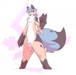  2020 ambiguous_gender anthro belly blue_eyes blue_hair canid canine chest_tuft crotch_tuft fluffy fluffy_tail hair hi_res inner_ear_fluff looking_at_viewer mammal raccoon_dog solo tail tan_body tanuki tuft watermark weighty-kyte white_belly 