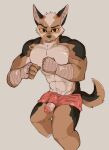  abs athletic boxers_(clothing) canid canine clothing genitals hi_res leborkss male male/male mammal muscular muscular_male pecs peeking_penis penis solo teasing underwear 