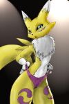  anthro bandai_namco clothing digimon digimon_(species) female female/female low_res panties renamon solo underwear 