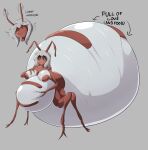  4_legs ant antennae_(anatomy) anthro arthropod arthropod_abdomen belly big_belly big_breasts big_butt black_sclera blue_eyes breasts brown_body butt directional_arrow fangs female grey_hair hair hi_res huge_breasts huge_butt hymenopteran hyper hyper_belly hyper_butt insect obese obese_anthro obese_female overweight overweight_anthro overweight_female simple_background smile solo teeth text veryfilthything white_body 