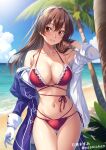  1girl ashigara_(kancolle) ashigara_kai_ni_(kancolle) beach blush breasts brown_eyes brown_hair cloud cloudy_sky gloves hair_between_eyes hairband ishihara_masumi jacket kantai_collection large_breasts long_hair long_sleeves looking_at_viewer ocean open_clothes palm_tree purple_jacket sand sky smile solo sun swimsuit swimsuit_under_clothes tree twitter_username water wavy_hair white_hairband 