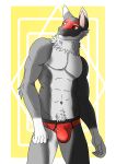  abs anthro biped black_body black_fur bulge canid canine canis clothed clothing fur hi_res humanoid male mammal muscular muscular_anthro muscular_male red_body red_clothing red_fur red_underwear roos_(xzenonart) simple_background solo underwear white_body white_fur wolf xzenonart 
