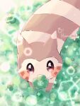  animal_focus artist_name brown_fur clover commentary_request four-leaf_clover from_above furret hanabusaoekaki highres no_humans pokemon pokemon_(creature) solid_oval_eyes solo two-tone_fur white_fur 