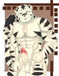  abs absurd_res anthro balls biceps casual_erection casual_nudity deltoids erection felid fur genitals hanzo_james hi_res humanoid_genitalia male mammal muscular muscular_anthro muscular_male nipples nude pantherine pecs penis simple_background solo solo_focus stripes tiger 