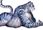  2022 anthro biceps blue_body blue_fur blue_stripes body_hair claws crossed_arms ears_up felid fur happy_trail hi_res lying male male/male mammal muscular muscular_anthro muscular_male nude on_front on_ground pantherine pecs rybiok solo stripes tiger triceps 