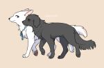  2023 ambiguous_gender berger_blanc_suisse bird_dog black_body black_fur black_tail blue_eyes blue_ribbon canid canine canis closed_smile cody_(tsukune_minaga) digital_media_(artwork) domestic_dog duo felicia_(tsukune_minaga) female_(lore) feral flat_coated_retriever floppy_ears fluffy fluffy_tail fur herding_dog hunting_dog lop_ears male_(lore) mammal monotone_body monotone_fur mouth_closed pastoral_dog pawpads pink_inner_ear pink_pawpads prick_ears quadruped retriever romaji_text side_by_side smile tail tsukune_minaga walking walking_together white_body white_fur white_tail yellow_eyes 