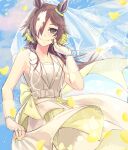  1girl an_oath_to_my_dear_challengers_(umamusume) animal_ears bare_shoulders blue_sky brown_eyes brown_hair closed_mouth cloud cloudy_sky commentary day dress gloves hair_over_one_eye hand_up highres horse_ears looking_at_viewer multicolored_hair outdoors petals see-through sky sleeveless sleeveless_dress smile solo symbol-only_commentary two-tone_hair umamusume veil vodka_(heart_ignition!!)_(umamusume) vodka_(umamusume) white_dress white_gloves white_hair yonaga_(47ga_yng) 