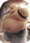  2023 anthro band-aid bandage bear belly big_belly black_nose bottomwear clothing detailed_background hi_res kemono male mammal metaporin moobs navel nipples overweight overweight_male polar_bear shorts solo ursine 