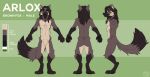  anthro arlox arm_tuft artist_name blue_eyes brown_body brown_fur brown_hair canid canine cheek_tuft color_swatch crotch_tuft dark_body dark_fur dark_hair digitigrade elbow_tuft facial_tuft fox front_view fur glistening glistening_eyes hair hi_res knee_tuft leg_tuft looking_at_viewer male mammal model_sheet mouth_closed nude rear_view shoulder_tuft side_view simple_background solo standing tan_body tan_fur tuft yookie 