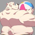  2023 anthro ball bear belly big_belly eyewear glasses hi_res humanoid_hands justshu kemono leib_(tas) lifewonders male mammal overweight overweight_male polar_bear solo tokyo_afterschool_summoners ursine 