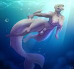  2023 anthro areola balls breasts digital_media_(artwork) eri-yo fish genitals gynomorph hi_res intersex marine nipples non-mammal_breasts nude shark solo 