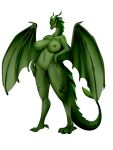  3:4 absurd_res anthro big_breasts bludraconoid breasts dragon female genitals hand_on_hip hi_res huge_breasts leaf_wings leafwing_(wof) navel nipples non-mammal_breasts non-mammal_nipples non-mammal_pussy nude pinup pose pussy queen queen_rowan royalty smile solo tasteful_nudity wings wings_of_fire 
