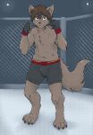  anthro bottomwear brown_body brown_fur brown_hair canid canine canis clothing fighting_pose fighting_ring fur hair male mammal pose shirtless shorts solo twokinds webcomic webcomic_character wolf wrestling yttrium_(artist) zen_(twokinds) 
