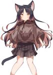  1girl animal_ear_fluff animal_ears black_hair black_skirt brown_hair brown_hoodie cat_ears cat_girl cat_tail daidai_ookami expressionless highres hood hood_down hoodie long_hair looking_at_viewer multicolored_hair orange_eyes original pleated_skirt simple_background skirt sleeves_past_elbows tail two-tone_hair white_background wide_sleeves 