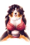  absurd_res animal_humanoid belly bernese_mountain_dog big_breasts big_female bra breasts brown_eyes canid canid_humanoid canine canine_humanoid canis chubby_belly chubby_female clothing cowgirl_position dog_humanoid domestic_dog female from_front_position gynomorph hair hi_res humanoid ichinoseura intersex looking_at_another looking_at_partner looking_at_viewer looking_pleasured male male/female mammal mammal_humanoid molosser mountain_dog multicolored_body navel on_bottom on_top panties red_bra red_clothing red_panties red_underwear sex simple_background smile smiling_at_viewer solo solo_focus swiss_mountain_dog thick_girl thick_thighs tongue tongue_out underwear 