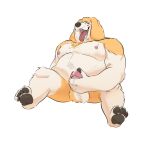  2023 anthro balls belly big_belly black_nose canid canine canis domestic_dog erection genitals hi_res humanoid_genitalia humanoid_hands humanoid_penis lentejota6 male mammal masturbation moobs nipples overweight overweight_male penis simple_background solo white_background 