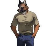  absurd_res anthro arm_tuft beer_belly belt bloodshot_eye bottomwear canid canine canis clothed clothing domestic_dog elbow_tuft fur german_shepherd hands_in_both_pockets herding_dog hi_res inner_ear_fluff koda_roswell_nelson_(6blow) looking_away lord_bandicam male mammal multicolored_body multicolored_fur musclegut neck_tuft old pants pastoral_dog scar scruffy shaded shirt short_story solo standing tired_of_this_shit topwear tuft wounded 