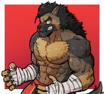  absurd_res anthro bandage bandaged_arm black_hair canid canine canis claws claws_out dynogreeno fangs fur furry_chest hair hi_res male mammal muscular muscular_anthro muscular_male red_background simple_background solo teeth wolf yellow_eyes 