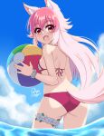  1girl absurdres animal_ears ass ball beachball bikini breasts drogo_doggo fangs highres looking_back multicolored_hair murenase!_shiiton_gakuen okami_ranka open_mouth orange_eyes pink_bikini pink_hair small_breasts swimsuit tail wolf_ears wolf_girl wolf_tail 