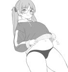  1girl blush character_request closed_mouth clothes_lift copyright_request cowboy_shot drawstring glasses greyscale highres long_hair long_sleeves looking_at_viewer monochrome navel noe_aoikaba notice_lines plump simple_background solo thick_thighs thighs twintails white_background 