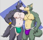  adastra adastra_(series) amicus_(adastra) anthro beastars canid canine canis clothed clothing digital_media_(artwork) duo echo_project legoshi_(beastars) male male/male mammal nipples simple_background wolf 