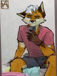  anthro canid canine fox grin hi_res male mammal phone selfie smile solo 
