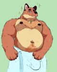  anthro belly bulge canid canine censlas fox hi_res looking_at_viewer male mammal musclegut navel nipples overweight overweight_anthro overweight_male simple_background solo towel 