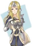  1girl armor blonde_hair breasts brown_eyes cleavage fire_emblem fire_emblem_echoes:_shadows_of_valentia gloves highres jewelry large_breasts light_smile looking_at_viewer mathilda_(fire_emblem) medium_breasts necklace solo tea6043 upper_body 