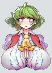  1girl ahoge ascot ass black_bra blush bra breasts button_gap cleavage closed_mouth commentary cropped_torso enajii green_hair huge_ass kazami_yuuka looking_at_viewer red_eyes short_hair solo sweat touhou underwear yellow_ascot 