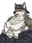  abs anthro blush canid canine canis clothing disembodied_hand fur grey_body grey_fur hair hat headgear headwear hi_res male mammal multicolored_body muscular muscular_male northwoooof pec_grab pecs shirt simple_background solo tank_top teeth tongue topwear two_tone_body white_background wolf yellow_eyes 