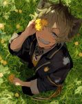  1boy blue_eyes blue_jacket dandelion flower flower_over_eye grass green_background happy_birthday highres jacket llilililiilii looking_at_viewer male_focus ruggie_bucchi smile solo teeth twisted_wonderland yellow_flower 