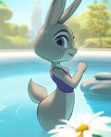  absurd_res anthro bottomless buckteeth butt clothed clothing convenient_censorship detailed_background digital_media_(artwork) disney eyelashes female fingers flower fur grey_body grey_fur hi_res inkune judy_hopps lagomorph legs_in_water leporid looking_at_viewer mammal open_mouth open_smile outside partially_submerged partially_submerged_legs pink_nose pink_tongue plant purple_clothing purple_eyes purple_shirt purple_topwear rabbit shirt side_view sky smile solo submerged_legs swimming_pool tail teeth tongue topwear tree tuft water wet zootopia 