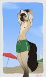  anthro arkis_(arrk1s) beach bottomwear bulge clothing hi_res koluthings male seaside shorts solo 