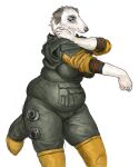  2021 amelie_(cettus) anthro belly borzoi canid canine canis cettus clothed clothing domestic_dog dressing female fur hunting_dog mammal sighthound simple_background slightly_chubby slightly_chubby_anthro slightly_chubby_female solo spacesuit standing white_background white_body white_fur 