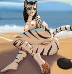  absurd_res anthro anus art.eje beach bethesda_softworks big_butt breasts brown_hair butt claws clitoris felid feline felis female fur genitals green_eyes hair hand_on_butt hand_on_own_butt hi_res khajiit looking_at_viewer lying mammal nipples nude on_side outside pawpads paws pussy sand seaside shivvra small_breasts solo striped_body striped_fur stripes tail tan_body tan_fur the_elder_scrolls white_body white_fur 