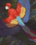  1boy bird bird_boy driftwoodwolf expressionless fantasy feathered_wings feathers from_behind harpy looking_at_viewer macaw male_focus monster_girl original parrot red_hair shadow wings 